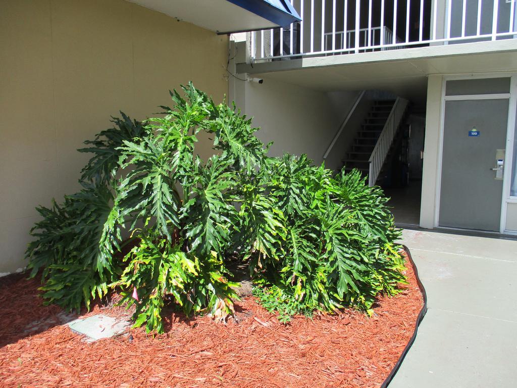 Days Inn By Wyndham Titusville Kennedy Space Center Exteriör bild